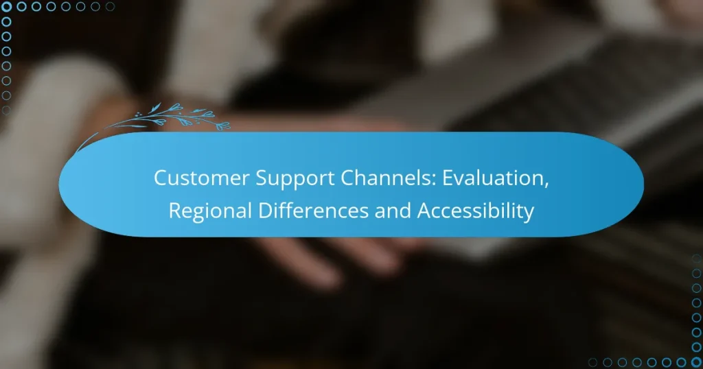 Customer Support Channels: Evaluation, Regional Differences and Accessibility